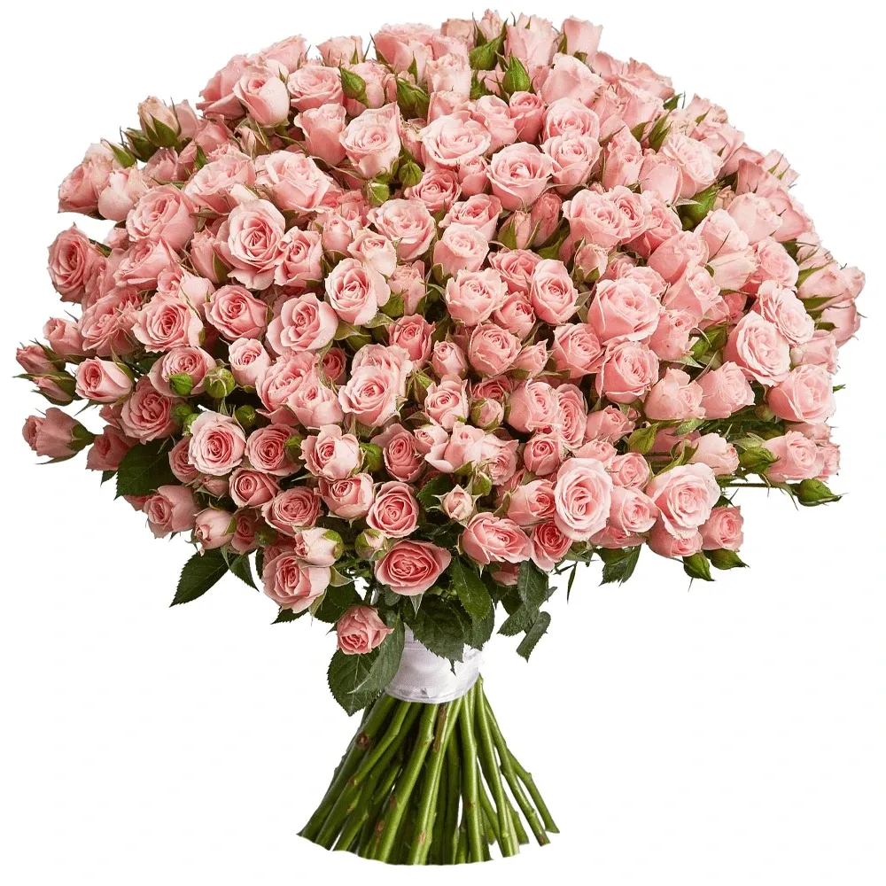 Розы Кустовые нежно розовые